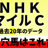 2024年　第29回NHKマイルカップ　【過去20年のデータ】傾向と分析、ローテーション