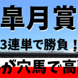 2025年　第85回皐月賞　【過去20年のデータ】傾向と分析、ローテーション