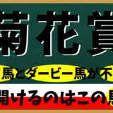 2025年　第86回菊花賞　【過去20年のデータ】傾向と分析、二冠の馬が不在の時