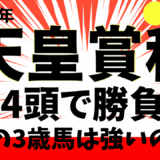 2025年　第172回天皇賞秋　【過去20年のデータ】傾向と分析　3歳馬は強いのか？