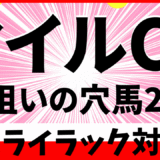 2025年　第42回マイルCS予想　【過去20年のデータ】　穴馬の傾向