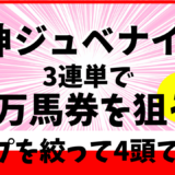 2025年　第77回阪神ジュベナイルフィリーズ　【過去20年のデータ】分析と傾向　勝ち馬を予想