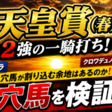 2026年　第173回天皇賞（春）　【過去20年以上のデータ】傾向と分析　アドマイヤテラ本命で固く収まるか？