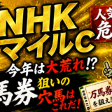2026年　第31回NHKマイルカップ　【過去20年のデータ】危険な人気馬からみえる大穴予想