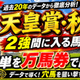 2026年　第174回天皇賞秋　【過去20年のデータ】傾向と分析　春の天皇賞馬対秋の天皇賞馬