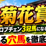 2026年　第87回菊花賞　【過去20年のデータ】傾向と分析、ロブチェン三冠馬になるか